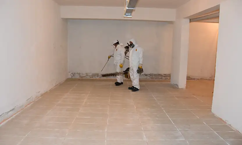 Kocasinan'da haşereyle mücadele 12 ay sürüyor