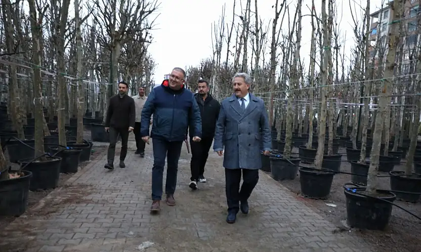 Melikgazi'de ağaçlandırma çalışmaları sürüyor