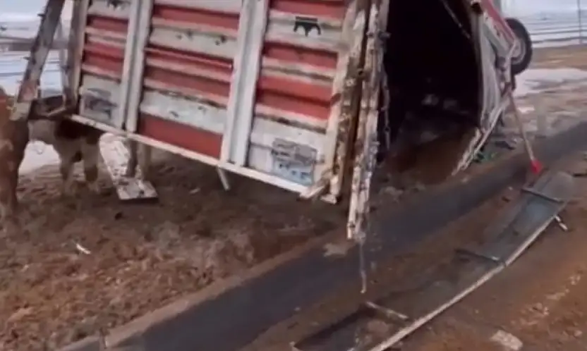 Pınarbaşı'nda Hayvan Yüklü Kamyonet Takla Attı