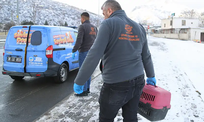 Sevimli Dost Ambulansı 4 Bin 300 Cana Umut Oldu