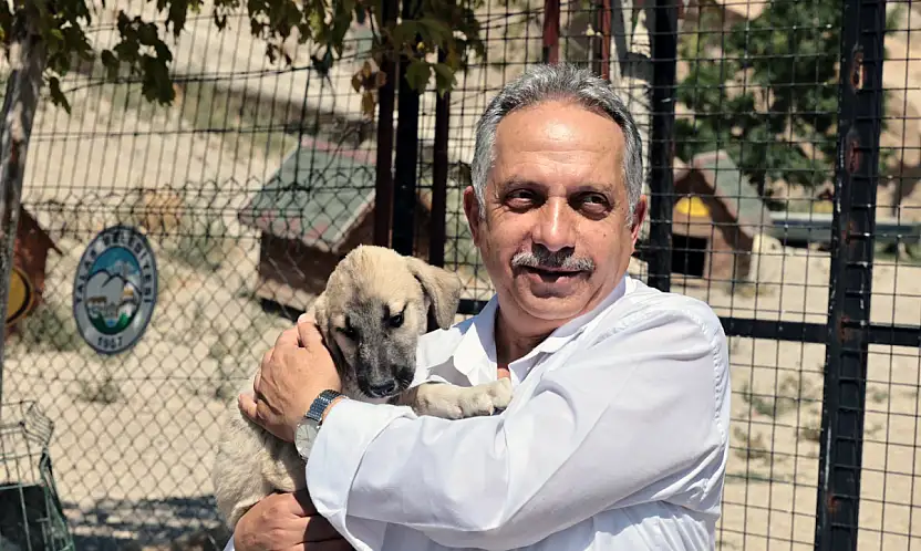 Talas Patievi 500 cana yuva oldu