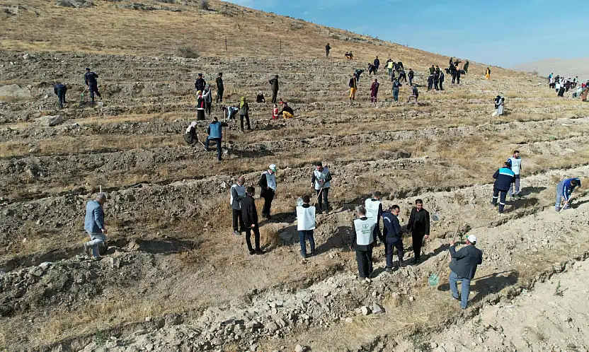 Yahyalı'da yeşil vatan seferberliği